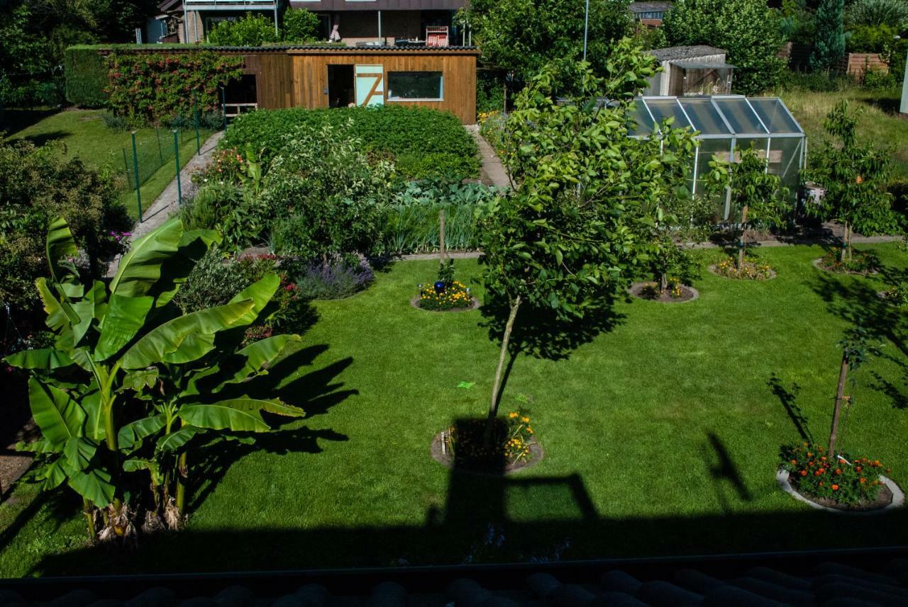 Ferienwohnung Wolf Greven Exterior foto